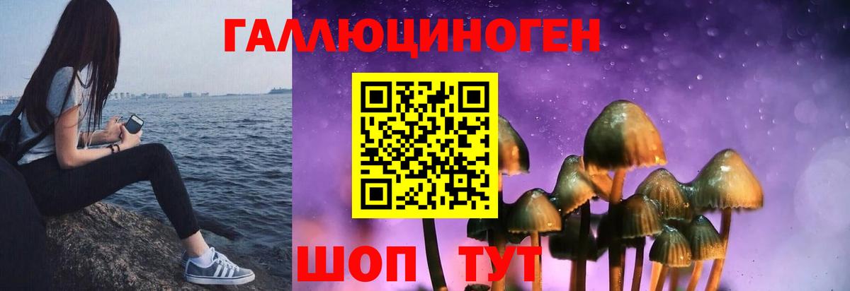 Дзержинск  Псилоцибиновые грибы Cubensis  Вход с VPN 